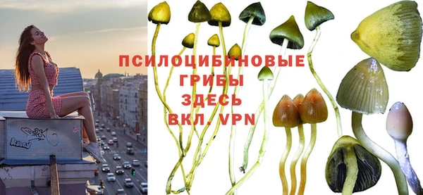 альфа пвп Алексеевка