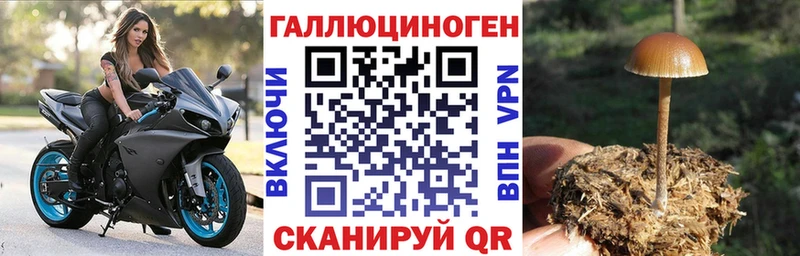 Псилоцибиновые грибы ЛСД  купить   Зеленогорск 